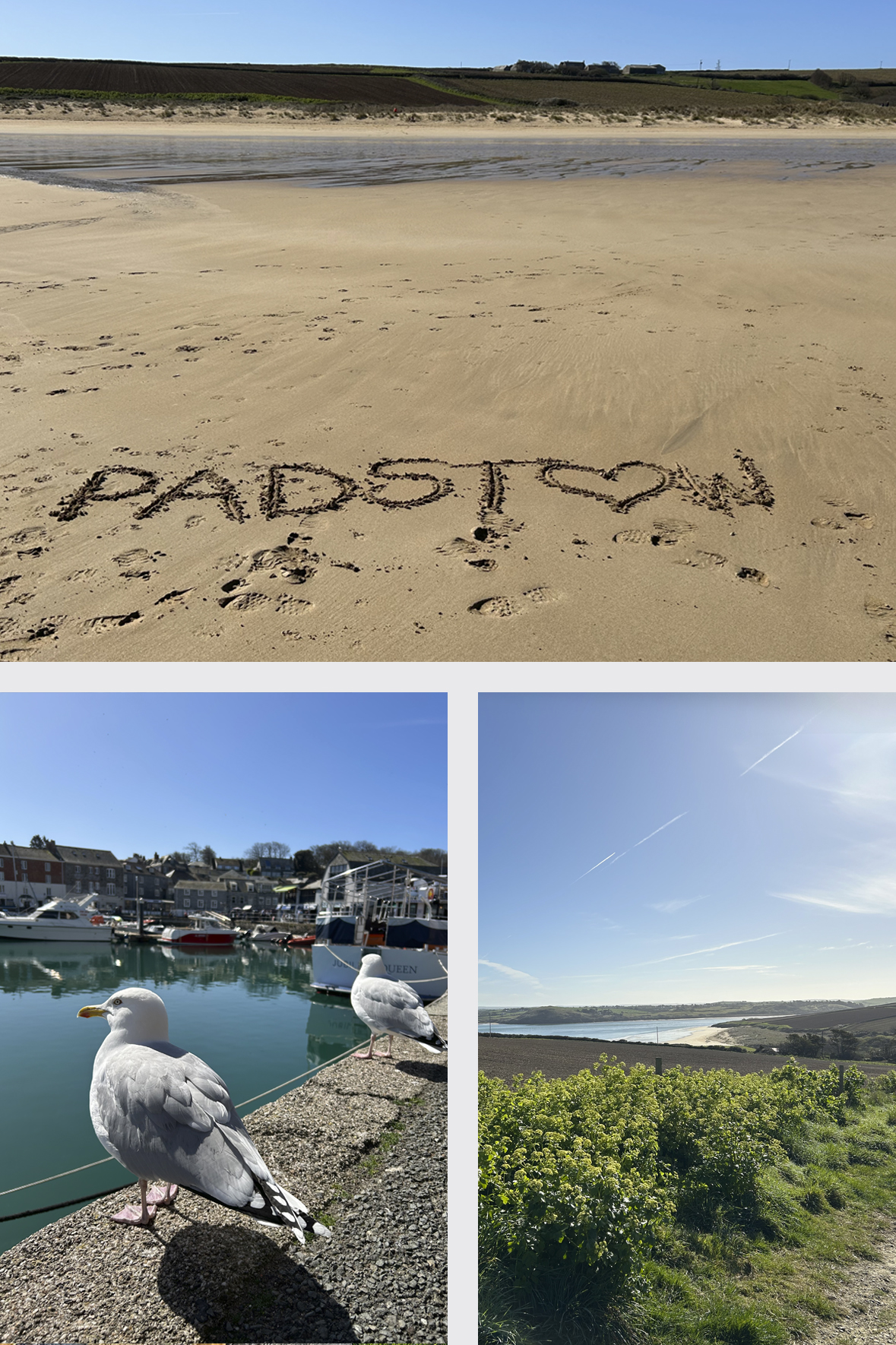 Padstow in all its glory